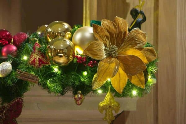 Cardinal Christmas | Christmas Decorations