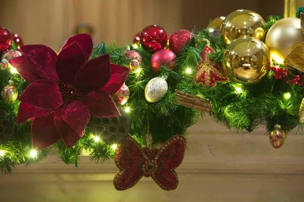 Cardinal Christmas | Christmas Decorations